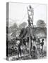 An 1874 Newpaper Engraving of the Ashanti War Showing Military Personnel Erecting a Telegraph Wire-null-Stretched Canvas