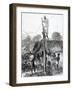 An 1874 Newpaper Engraving of the Ashanti War Showing Military Personnel Erecting a Telegraph Wire-null-Framed Giclee Print