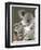 An 8-Month-Old Koala Joey-null-Framed Premium Photographic Print