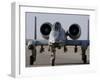 An A-10 Thunderbolt II-Stocktrek Images-Framed Photographic Print