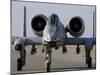 An A-10 Thunderbolt II-Stocktrek Images-Mounted Photographic Print