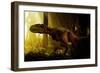 An Abelisaurus Moves Stealthily Though the Forest-null-Framed Premium Giclee Print