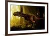 An Abelisaurus Moves Stealthily Though the Forest-null-Framed Art Print