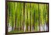 An Abstract Created by Intentional Camera Movement-John Lunt-Framed Premium Photographic Print