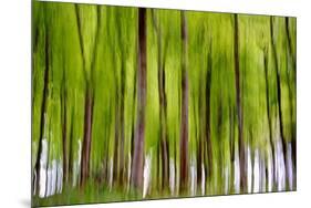 An Abstract Created by Intentional Camera Movement-John Lunt-Mounted Premium Photographic Print