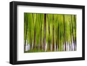 An Abstract Created by Intentional Camera Movement-John Lunt-Framed Photographic Print