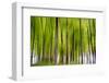 An Abstract Created by Intentional Camera Movement-John Lunt-Framed Photographic Print