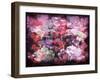 An Abstract Geometric Floral Montage Photographic Layer Work-Alaya Gadeh-Framed Photographic Print