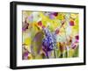 An Abstract Multicolor Floral Montage Photographic Layer Work-Alaya Gadeh-Framed Photographic Print