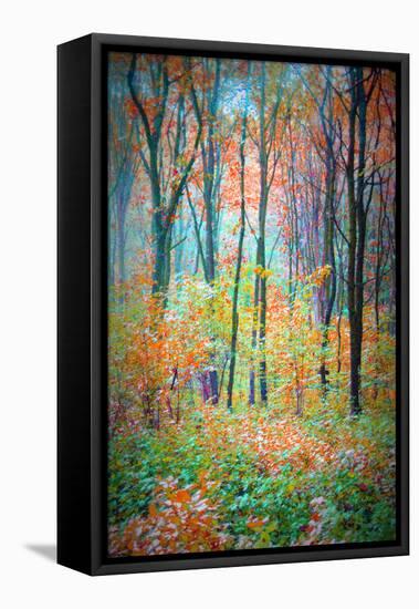 An Abstract Multicolorl Montage from the Forest, Photographic Layer Work-Alaya Gadeh-Framed Stretched Canvas