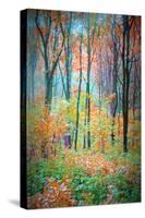 An Abstract Multicolorl Montage from the Forest, Photographic Layer Work-Alaya Gadeh-Stretched Canvas