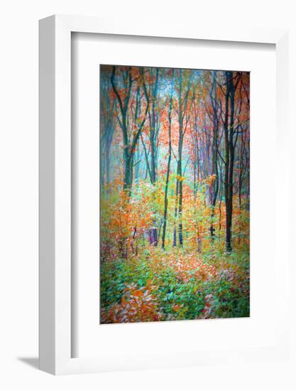 An Abstract Multicolorl Montage from the Forest, Photographic Layer Work-Alaya Gadeh-Framed Photographic Print