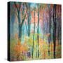 An Abstract Multicolorl Montage from the Forest, Photographic Layer Work-Alaya Gadeh-Stretched Canvas