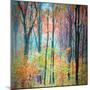 An Abstract Multicolorl Montage from the Forest, Photographic Layer Work-Alaya Gadeh-Mounted Photographic Print