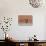 An Acacia Tree and Sand Dune in Namibia's  Namib-Naukluft National Park-Alex Saberi-Stretched Canvas displayed on a wall