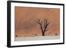 An Acacia Tree and Sand Dune in Namibia's  Namib-Naukluft National Park-Alex Saberi-Framed Photographic Print