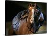 An Actor Dressed as an Indian Rides His Horse While Performing at the Opera Pampa Show-null-Stretched Canvas