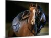 An Actor Dressed as an Indian Rides His Horse While Performing at the Opera Pampa Show-null-Mounted Photographic Print