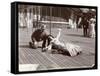 An Actress in Costume Rehearsing on the Roof of What Is Probably the New York Theatre, New York,…-Byron Company-Framed Stretched Canvas