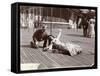 An Actress in Costume Rehearsing on the Roof of What Is Probably the New York Theatre, New York,…-Byron Company-Framed Stretched Canvas