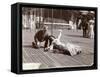 An Actress in Costume Rehearsing on the Roof of What Is Probably the New York Theatre, New York,…-Byron Company-Framed Stretched Canvas