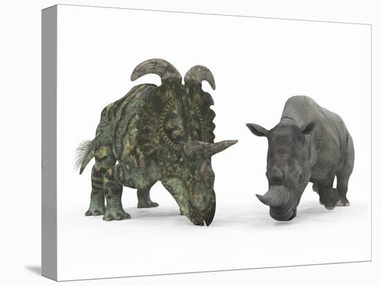 An Adult Albertaceratops Compared to a Modern Adult White Rhinoceros-Stocktrek Images-Stretched Canvas
