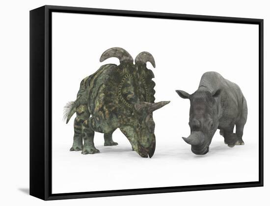An Adult Albertaceratops Compared to a Modern Adult White Rhinoceros-Stocktrek Images-Framed Stretched Canvas