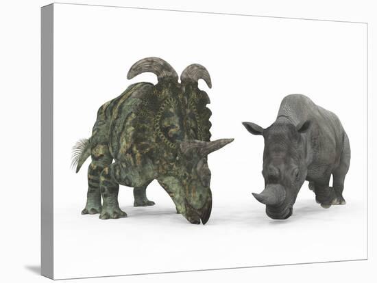 An Adult Albertaceratops Compared to a Modern Adult White Rhinoceros-Stocktrek Images-Stretched Canvas