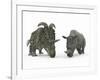 An Adult Albertaceratops Compared to a Modern Adult White Rhinoceros-Stocktrek Images-Framed Premium Photographic Print