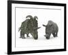 An Adult Albertaceratops Compared to a Modern Adult White Rhinoceros-Stocktrek Images-Framed Premium Photographic Print