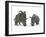 An Adult Albertaceratops Compared to a Modern Adult White Rhinoceros-Stocktrek Images-Framed Photographic Print