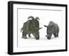 An Adult Albertaceratops Compared to a Modern Adult White Rhinoceros-Stocktrek Images-Framed Photographic Print