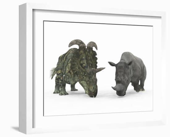 An Adult Albertaceratops Compared to a Modern Adult White Rhinoceros-Stocktrek Images-Framed Photographic Print