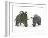 An Adult Albertaceratops Compared to a Modern Adult White Rhinoceros-Stocktrek Images-Framed Photographic Print