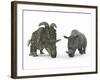 An Adult Albertaceratops Compared to a Modern Adult White Rhinoceros-Stocktrek Images-Framed Photographic Print