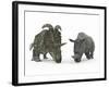 An Adult Albertaceratops Compared to a Modern Adult White Rhinoceros-Stocktrek Images-Framed Photographic Print