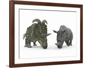 An Adult Albertaceratops Compared to a Modern Adult White Rhinoceros-Stocktrek Images-Framed Photographic Print