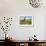 An adult and juvenile Icelandic horse in a field in rural Iceland, Polar Regions-Logan Brown-Framed Photographic Print displayed on a wall