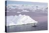 An Adult Antarctic Minke Whale (Balaenoptera Bonaerensis) Surfacing in the Gerlache Strait-Michael Nolan-Stretched Canvas