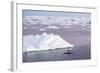 An Adult Antarctic Minke Whale (Balaenoptera Bonaerensis) Surfacing in the Gerlache Strait-Michael Nolan-Framed Photographic Print