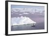 An Adult Antarctic Minke Whale (Balaenoptera Bonaerensis) Surfacing in the Gerlache Strait-Michael Nolan-Framed Photographic Print