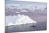 An Adult Antarctic Minke Whale (Balaenoptera Bonaerensis) Surfacing in the Gerlache Strait-Michael Nolan-Mounted Photographic Print