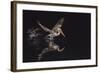 An Adult Brown Pelican (Pelecanus Occidentalis) at Night Near Isla Santa Catalina-Michael Nolan-Framed Photographic Print