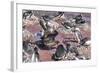 An Adult Brown Skua (Stercorarius Spp) Stealing a Penguin Egg at Brown Bluff, Antarctica-Michael Nolan-Framed Photographic Print