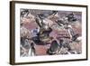 An Adult Brown Skua (Stercorarius Spp) Stealing a Penguin Egg at Brown Bluff, Antarctica-Michael Nolan-Framed Photographic Print