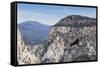 An adult California condor in flight on Angel's Landing Trail in Zion National Park, Utah, United S-Michael Nolan-Framed Stretched Canvas