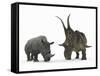 An Adult Diabloceratops Compared to a Modern Adult White Rhinoceros-Stocktrek Images-Framed Stretched Canvas