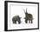 An Adult Diabloceratops Compared to a Modern Adult White Rhinoceros-Stocktrek Images-Framed Photographic Print