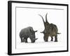 An Adult Diabloceratops Compared to a Modern Adult White Rhinoceros-Stocktrek Images-Framed Photographic Print