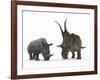 An Adult Diabloceratops Compared to a Modern Adult White Rhinoceros-Stocktrek Images-Framed Photographic Print